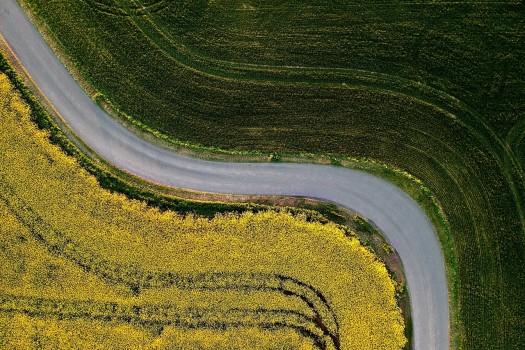 izpsikoloji-blog (1)